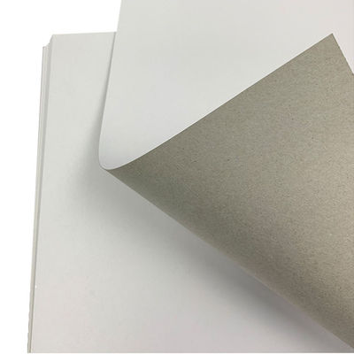 Kartonnen vellen wit bedekte grijze achterzijde Groothandel 350 g C1s Wit duplex kartonpapier
