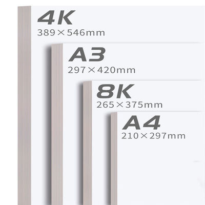 250 gm 300 gm 350 gm Ivory Board Paper PE Coating One Side Gloss