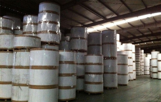 FBB C1S 300gm Ivorenplaat Papier Wit vouwpapier Karton Glanzend