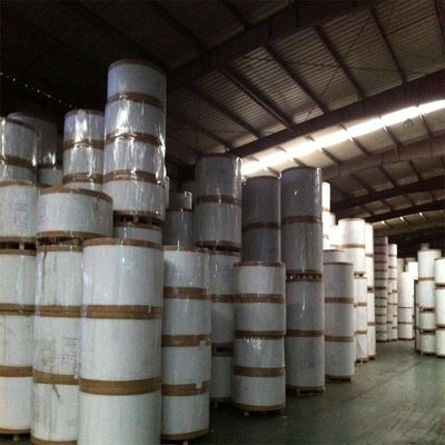Wit ivoorpapierplaat SBS 230/250/300/350gsm C1S