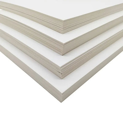 C2S Art Board/Art Card Paper 300 gsm voor drukwerk en verpakkingszakken