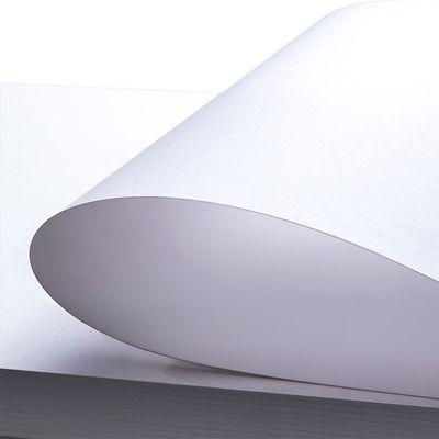 Ningbo vouw C1S bedekt 300gm 350gm fbb ivoren bord papierbord