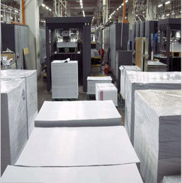 High Bulk One-Side Coated Paper, FBB SBS Paper Board Paper Board