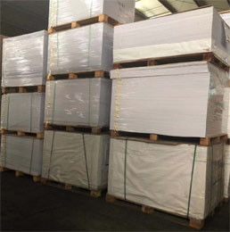 C1S SBS Papierplaat 250gm-400gm FBB-plaat Eenzijdig gecoat wit karton