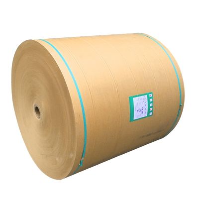 Eco-vriendelijk aangepast kraftpapier enkelvoudig dubbelwand PE-gecoate rol