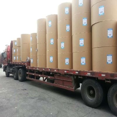 Eco-vriendelijk aangepast kraftpapier enkelvoudig dubbelwand PE-gecoate rol