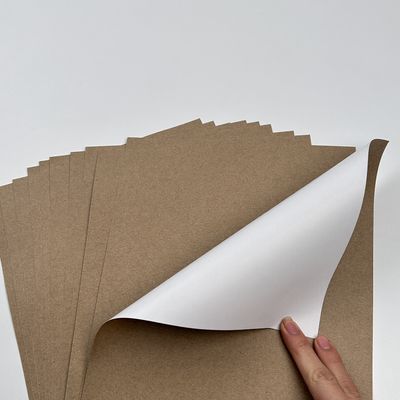 Bedekkingsverf Wit top kraft liner papier Jumbo rol met PE coating materiaal betaalbaar