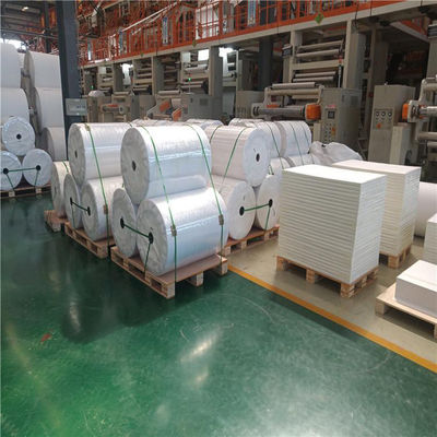 OEM Hoogdicht waterdicht stenen papier 120um 140um Voor notebook