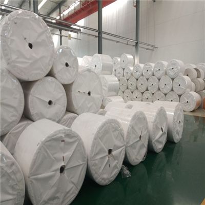 Bomenvrij wit bekleed stenen papier waterdicht 120g 144g 168g 240g traandicht